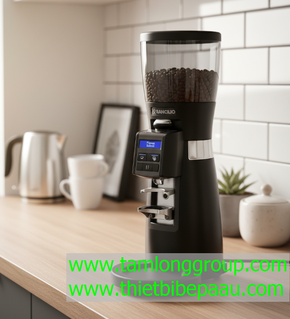 Máy xay cà phê Rancilio 65 OD
