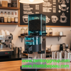 Máy xay cà phê Rancilio MD 40